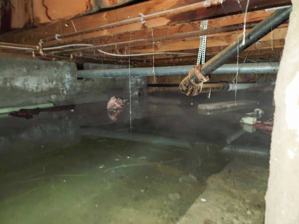 Best Water damage restoration insurance claims  in Morristown, NJ