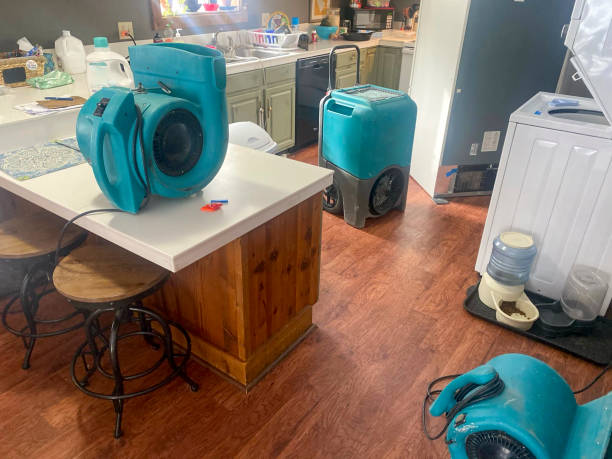Local water damage restoration in NJ