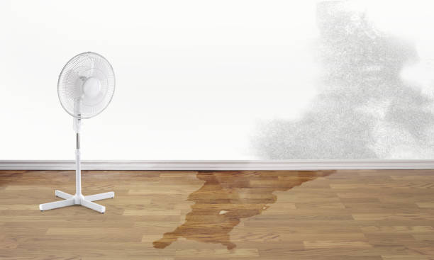 Water damage restoration mold remediation in NJ