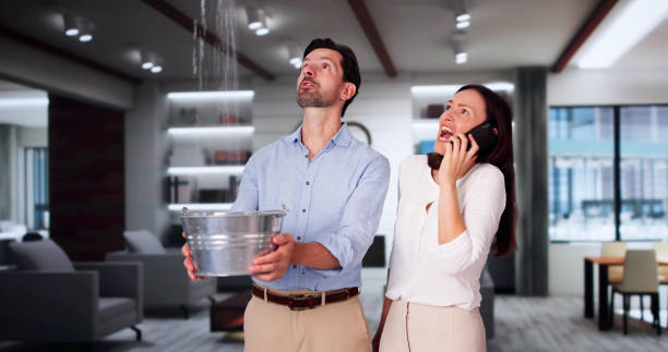 Best Professional water damage repair  in Morristown, NJ