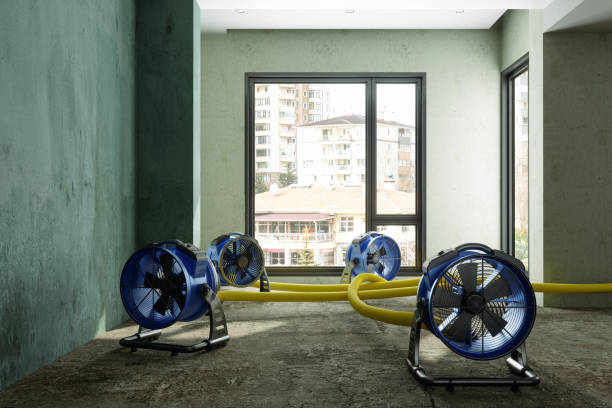 Best Residential water damage restoration  in Morristown, NJ